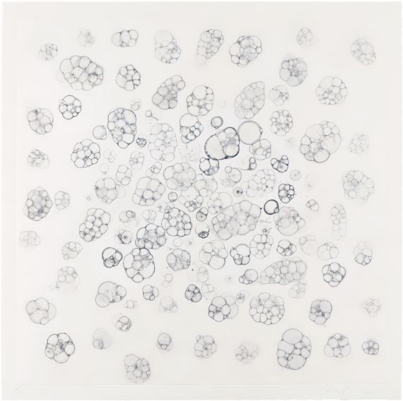 Untitled - Tara Donovan