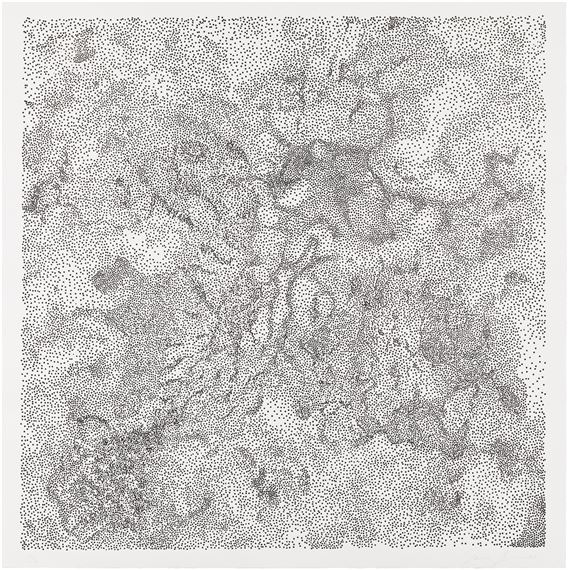 Untitled - Tara Donovan