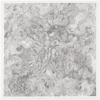 Untitled - Tara Donovan