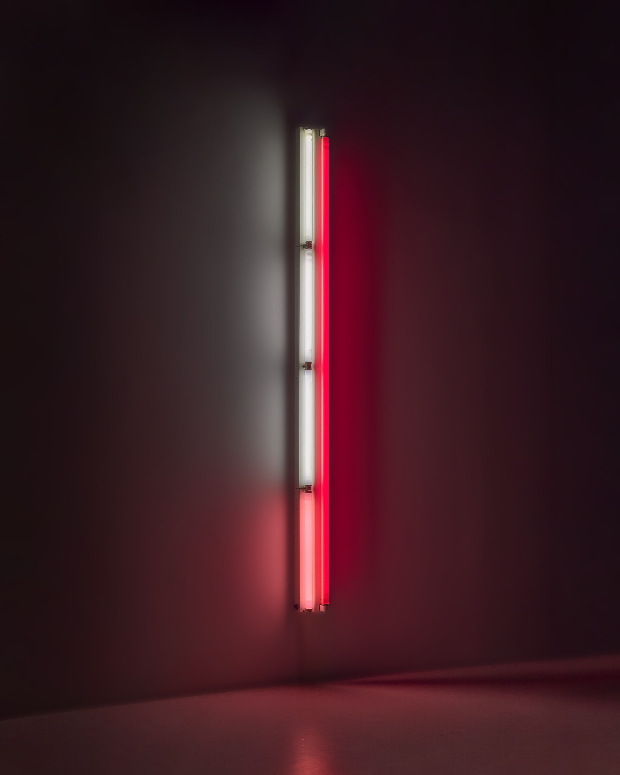 Artwork by Dan Flavin, Sans titre (to Brad Gillaugh, Made of red, pink