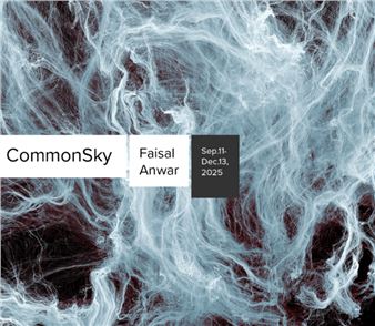 Faisal Anwar: CommonSky - South Asia Institute of Chicago
