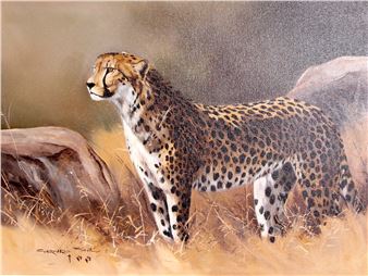 CHEETAH - Gerhard Smit