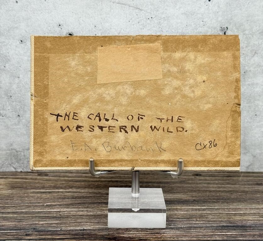 Artwork by Elbridge Ayer Burbank, The Call of the Western Wild