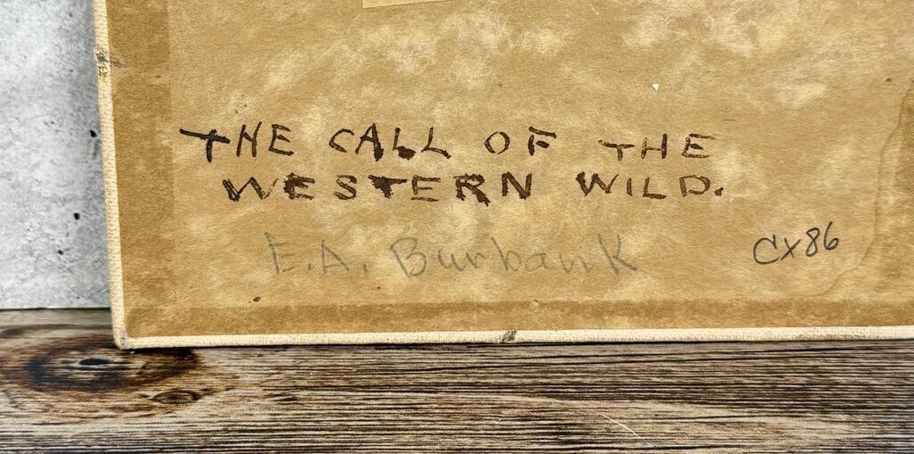 Artwork by Elbridge Ayer Burbank, The Call of the Western Wild