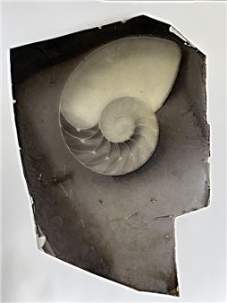 Untitled - Melanie Walker