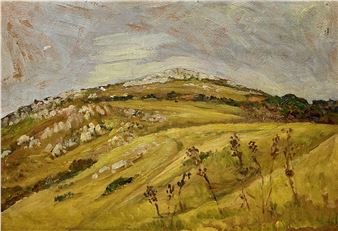 Paisaje de Piriápolis - Manuel Rose