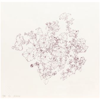 Petunias - Ruth Asawa