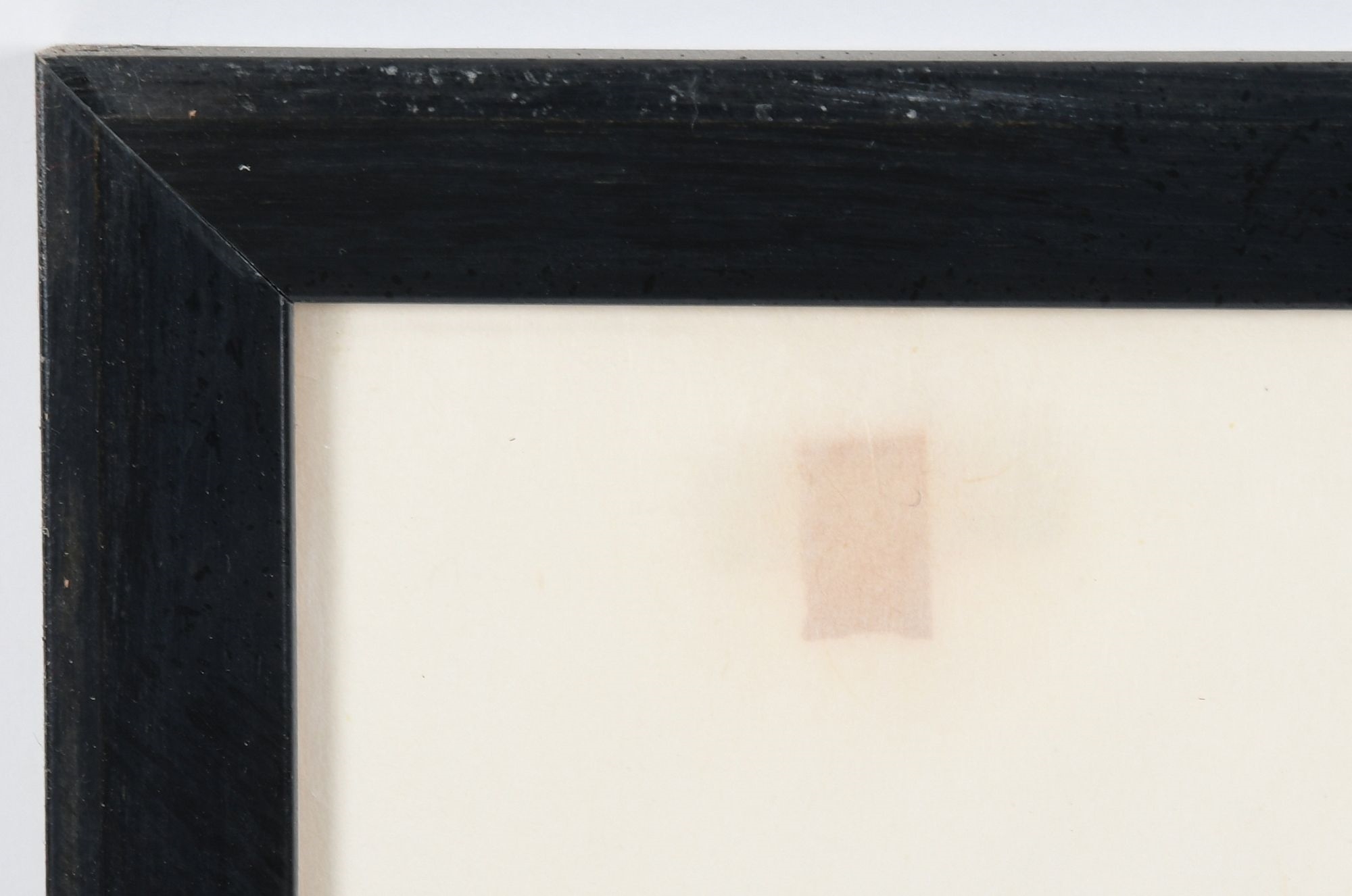 Artwork by Kenojuak Ashevak, Rollicking Birds, Made of Stonecut And Stencil