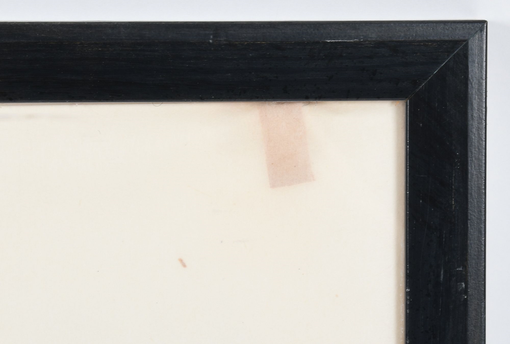 Artwork by Kenojuak Ashevak, Rollicking Birds, Made of Stonecut And Stencil