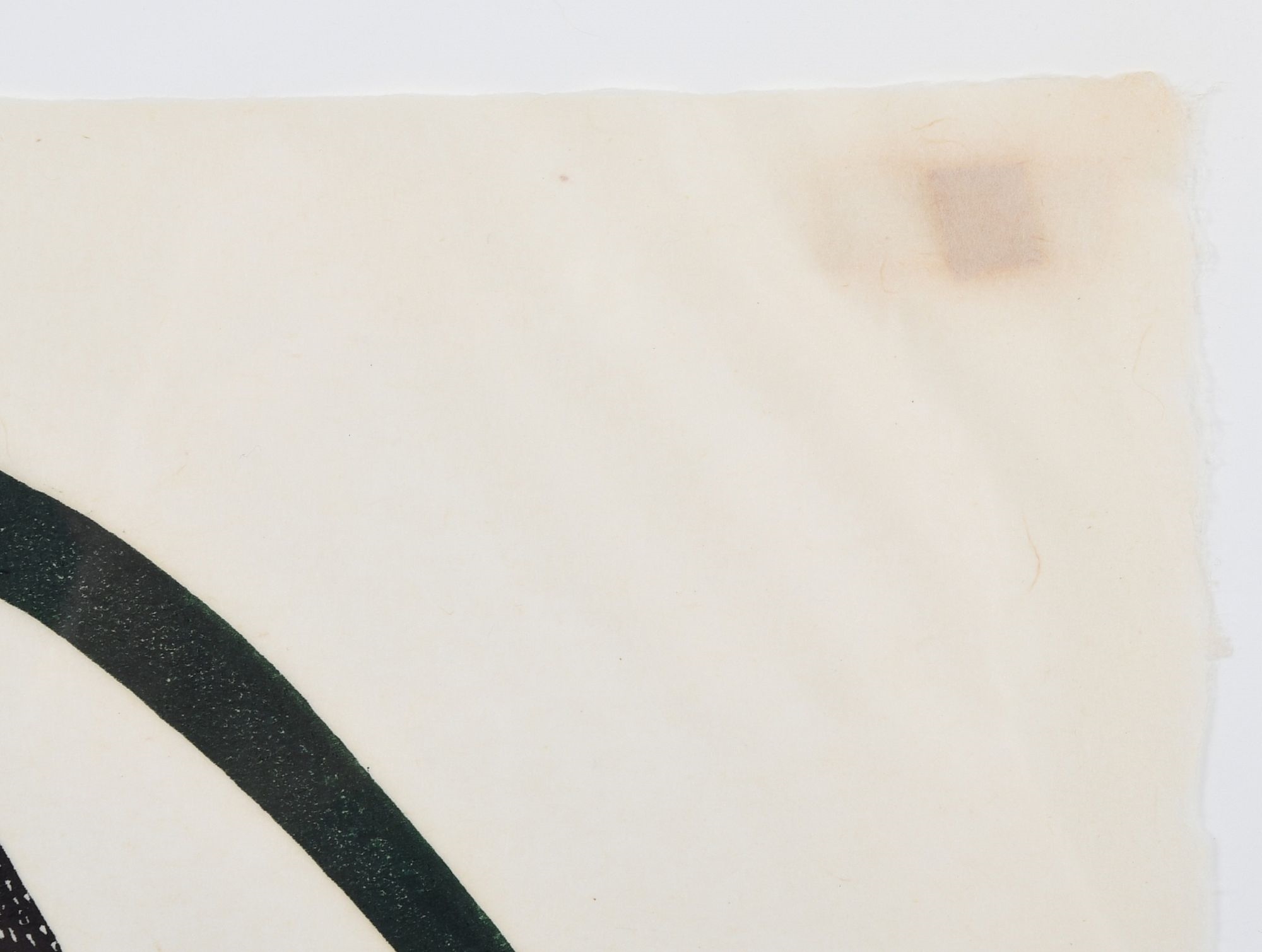 Artwork by Kenojuak Ashevak, Transference, Made of Stonecut On Paper