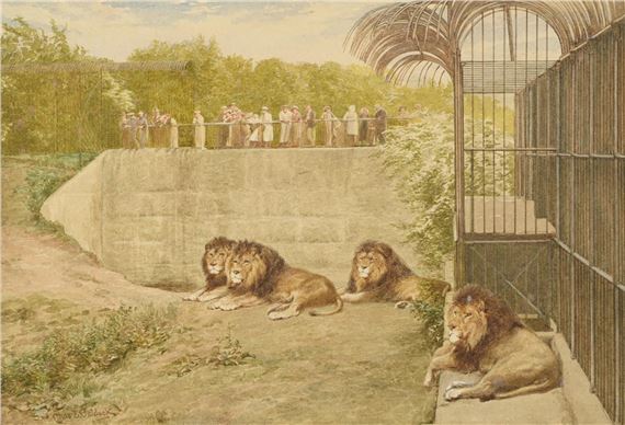 THE LION ENCLOSURE - Charles Edwin M. Baldock