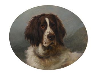 HEAD STUDY OF A SPANIEL: 'SANCHO