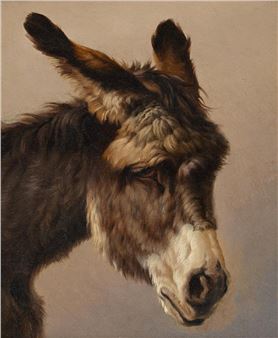 HEAD OF A DONKEY