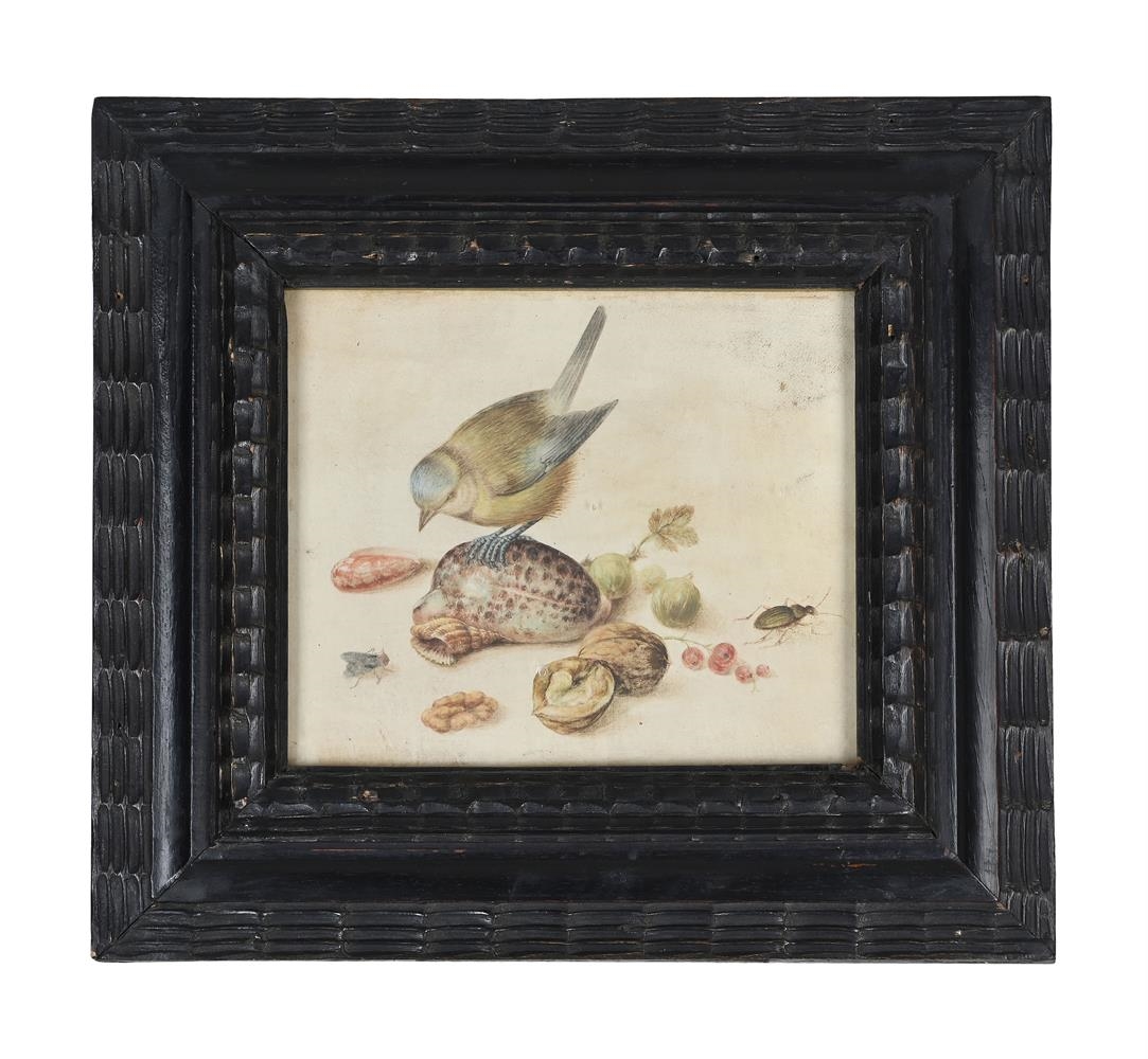 Artwork by Georg Flegel, STILL LIFE WITH BLUE TIT, SHELLS, FRUITS AND INSECT, Made of Watercolour On Vellum Laid To Panel