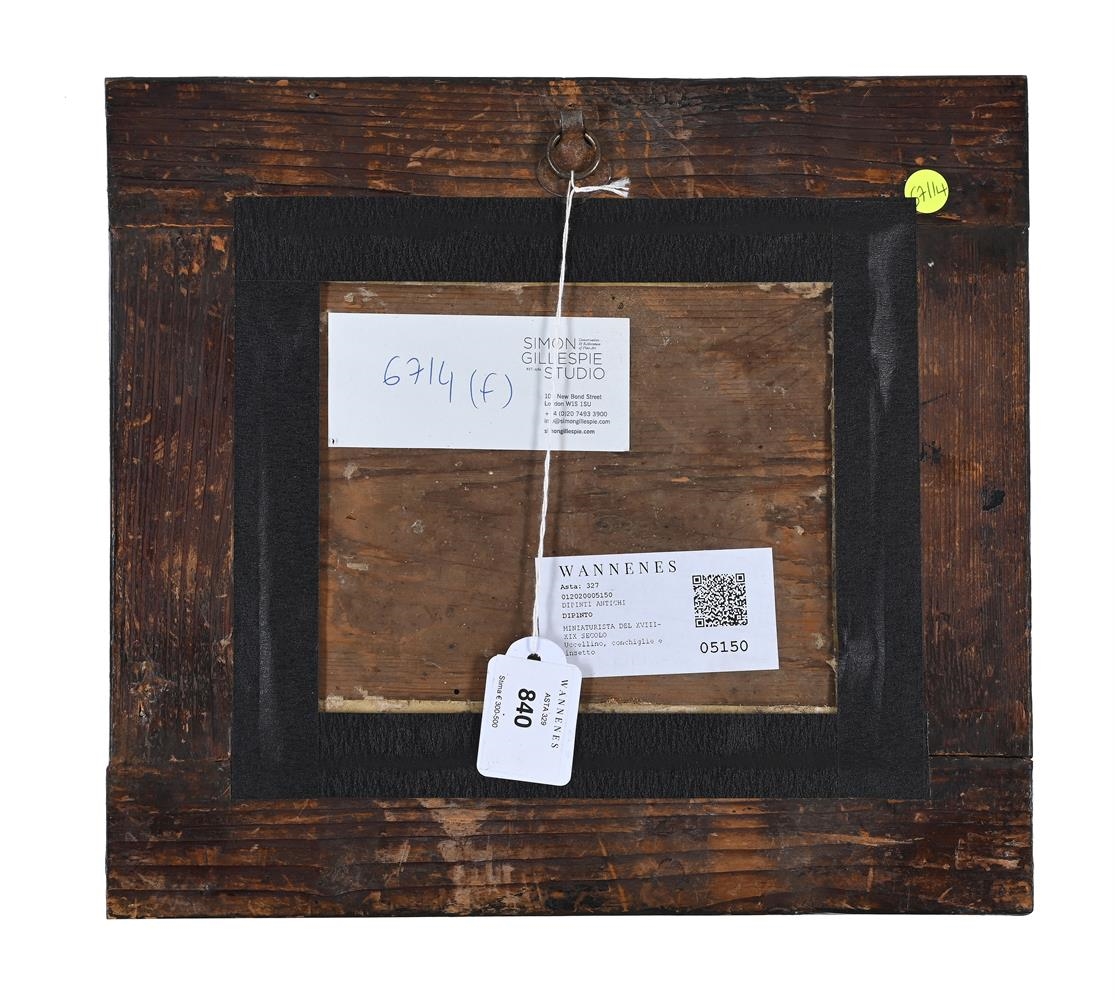 Artwork by Georg Flegel, STILL LIFE WITH BLUE TIT, SHELLS, FRUITS AND INSECT, Made of Watercolour On Vellum Laid To Panel