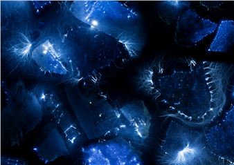 Marjolijn Dijkman: Between the Lines - Kunstverein Göttingen, Altes Rathaus