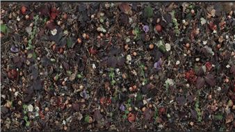 Tanya Marcuse: Woven No. 16