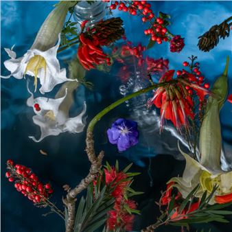 Beyond the Gallery Walls: Solo Studios 2025 Transforms the Riebeek Valley into a Living Canvas, South Africa