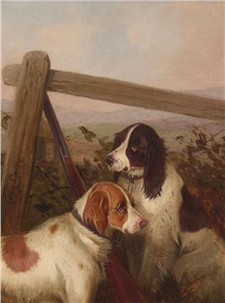 Two spaniels - Colin Graeme Roe