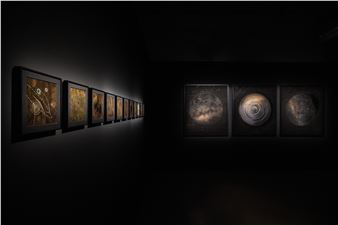 Rohini Devasher “Borrowed Light” at MUDEC, Milan