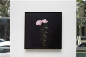 Spring Catalogue - Liverpool Street Gallery