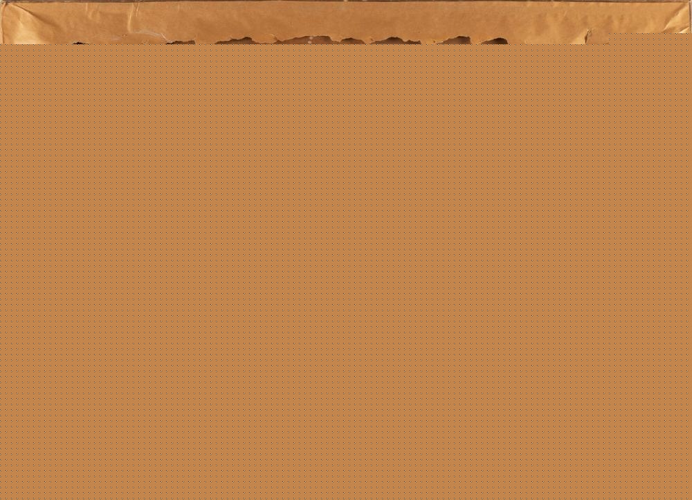 Artwork by Charles Morgan McIlenney, The Turkey Girl, Made of Oil On Canvas