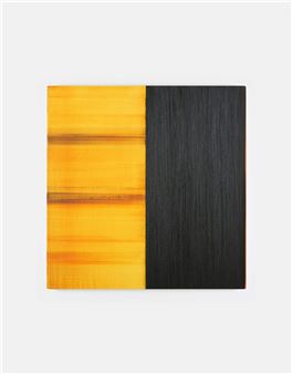 Callum Innes: Overleaf - Chateau la Coste