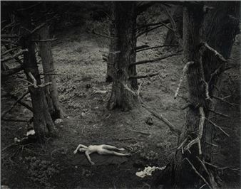 Nude in Forest - Wynn Bullock