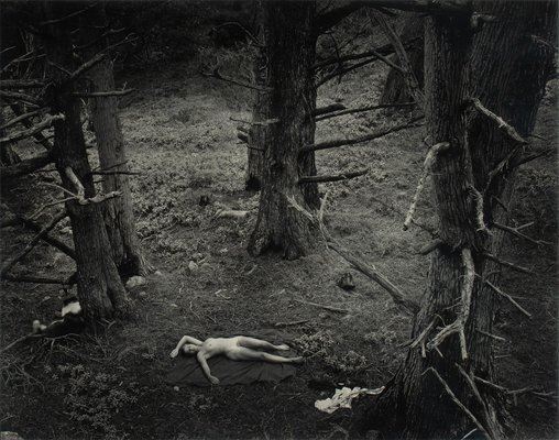 Nude in Forest - Wynn Bullock
