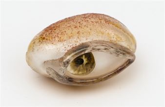 Glass: Transcending Matter - MAMC Saint-Étienne