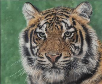 ‘Prime of life’ - Valerie Simms