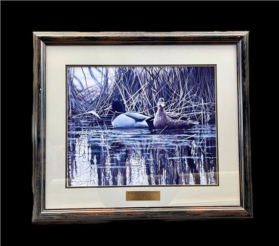 Peter Mathios | Tucked in Mallard Pair | MutualArt
