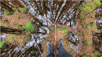 Of the Earth: Connections - Queens Museum of Art