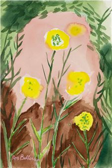 Evening Primrose - Ross Bollerup