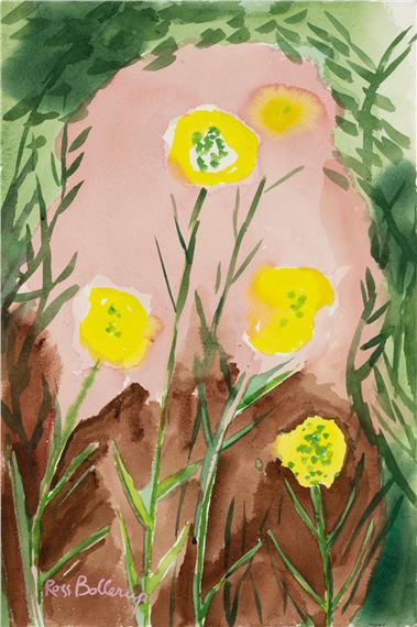 Evening Primrose - Ross Bollerup
