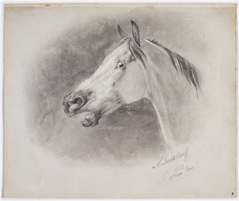 Horse head - Nikolai Svertschkoff Sverchkov