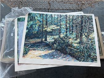 4 unframed prints &quot;Canon Hill Pathway - Daniel Ziembo