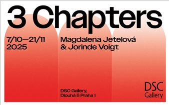 Magdalena Jetelová & Jorinde Voigt: 3 Chapters - DSC Gallery