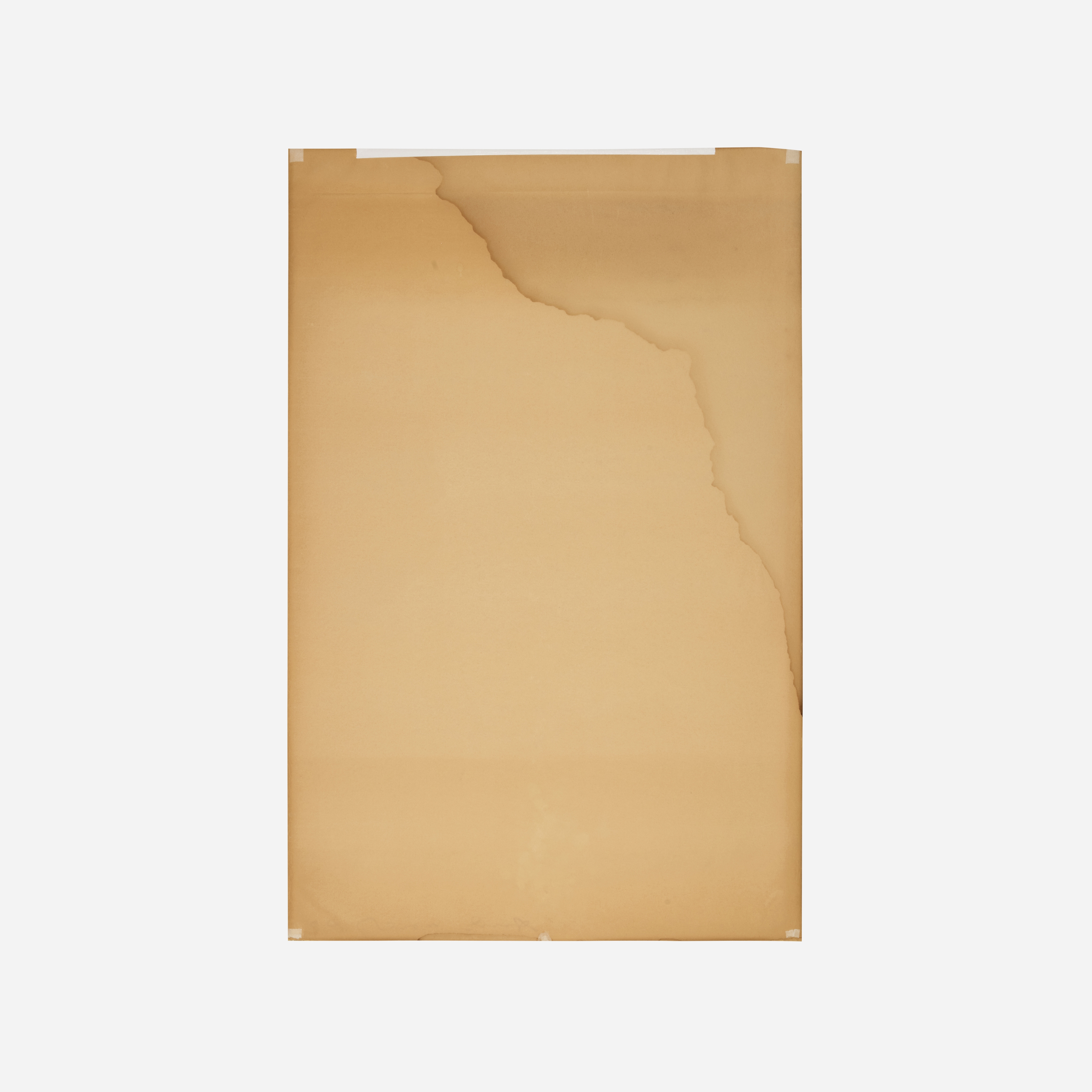 Artwork by Andy Warhol, Cow, Made of Screenprint In Colors On Wallpaper