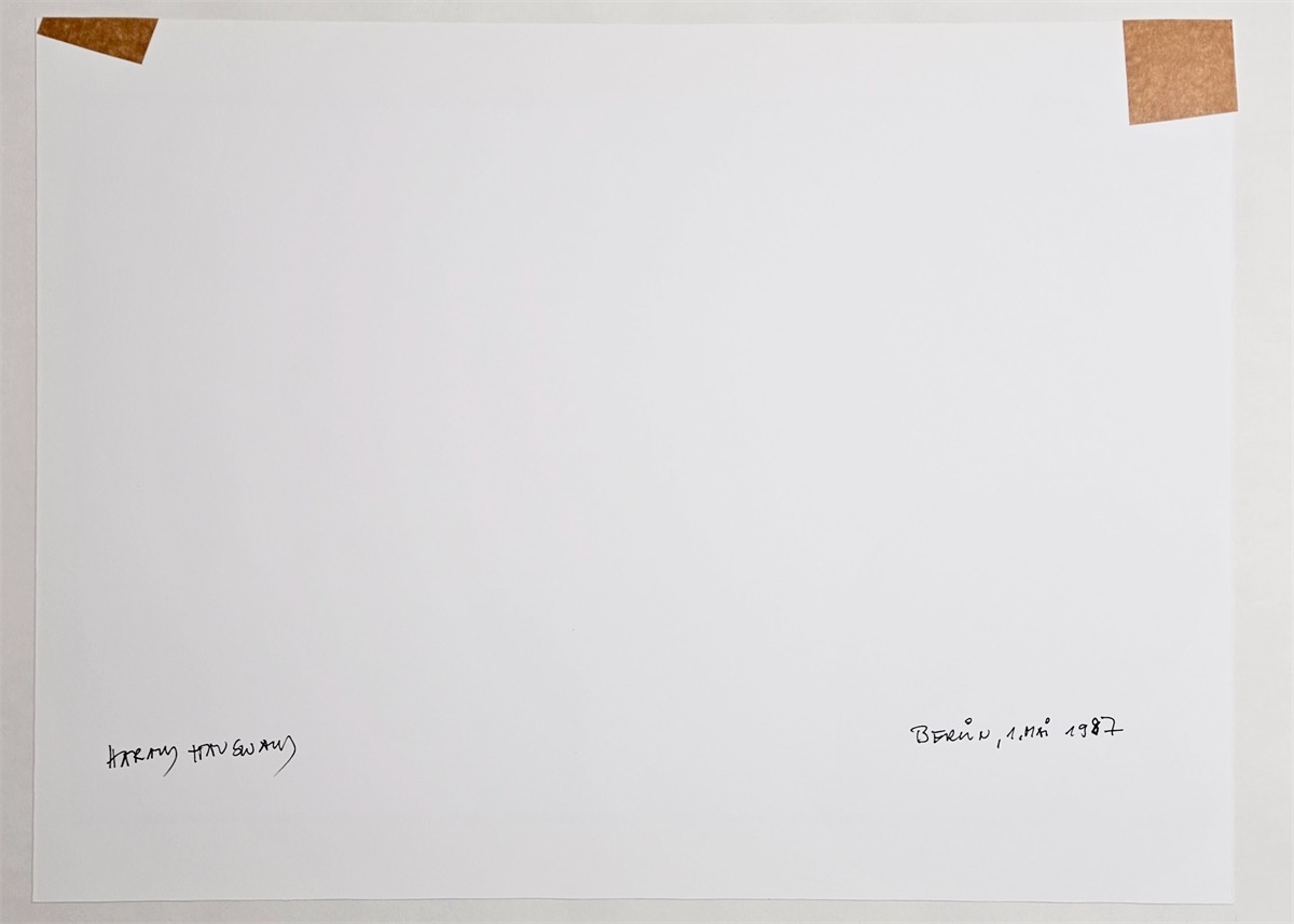 Artwork by Harald Hauswald, Berlin, 1. Mai, Made of Gelatin Silver Print