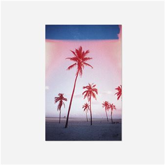 How it was then (Palm Trees - Jack Pierson