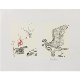 Untitled - Merce Cunningham