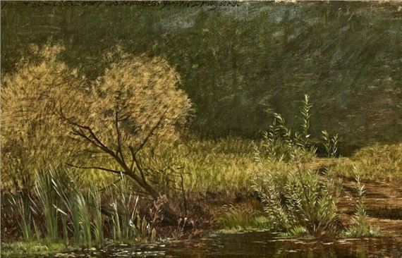 Study of vegetation in a lake by Peter Christian Thamsen Skovgaard, 6. Sept. 1869