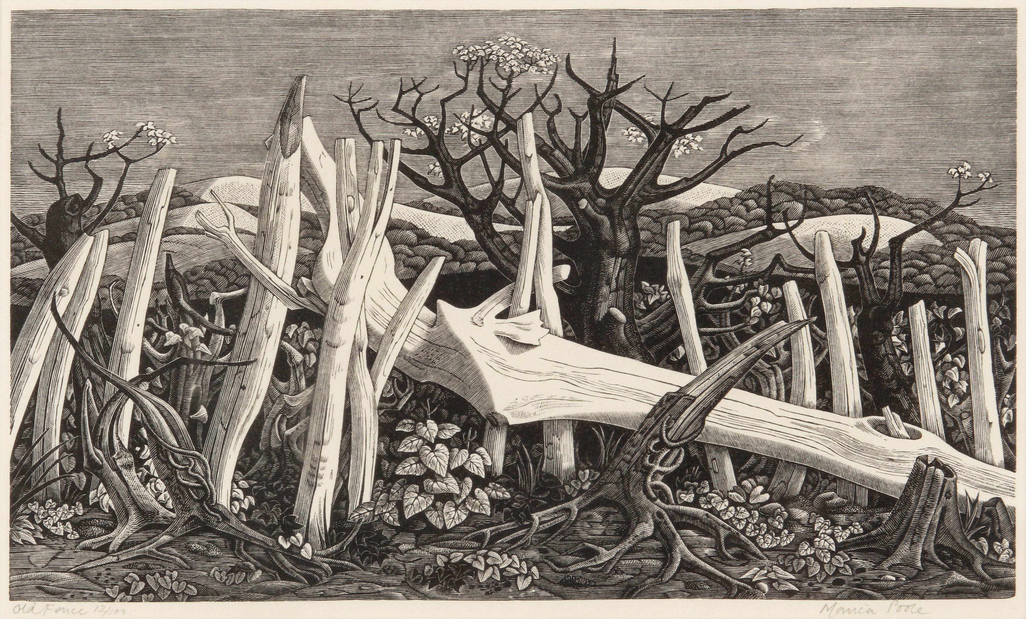 Artwork by Monica Poole, Old Fence, Made of Woodcut On Wove