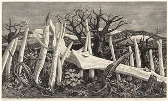 Old Fence - Monica Poole