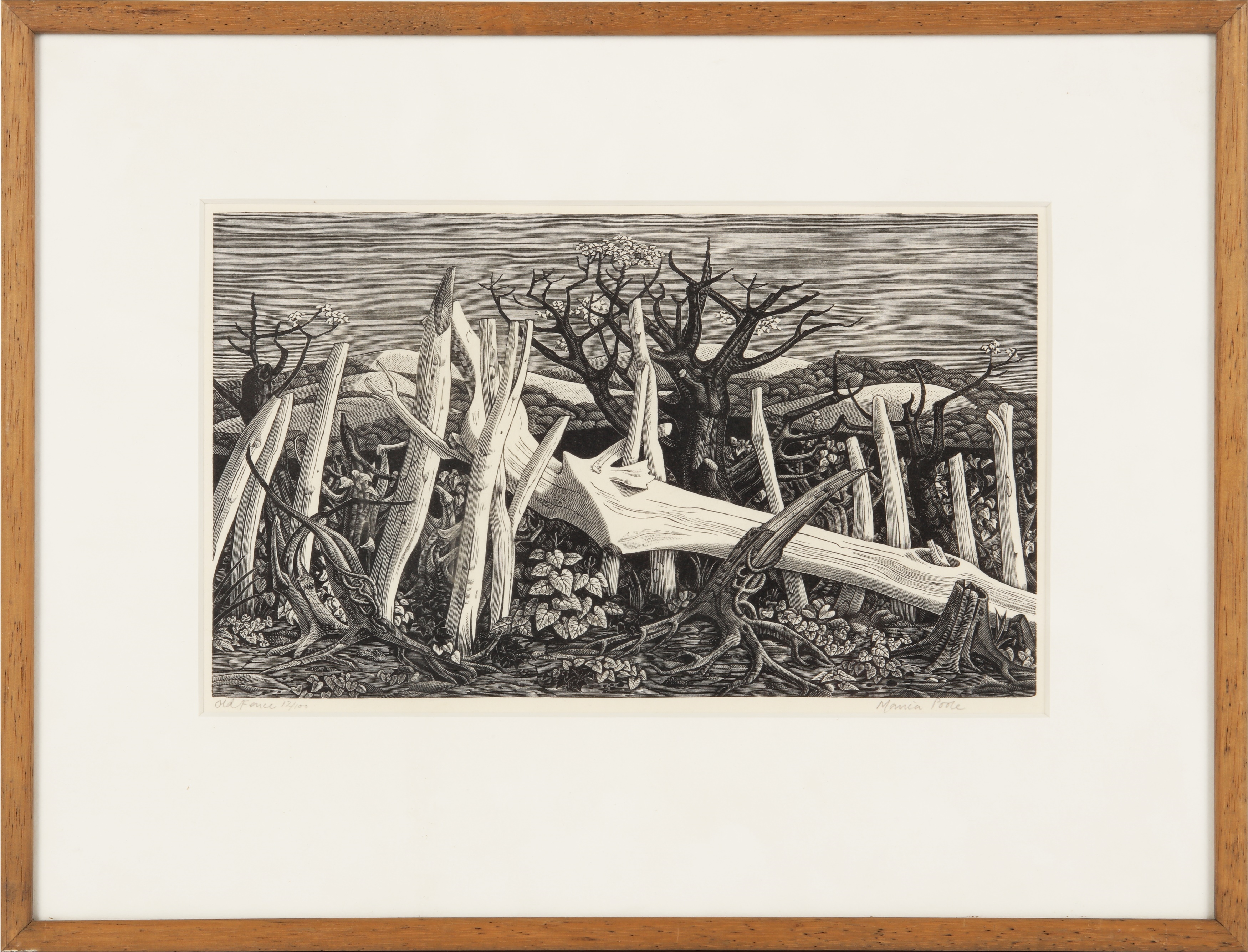 Artwork by Monica Poole, Old Fence, Made of Woodcut On Wove