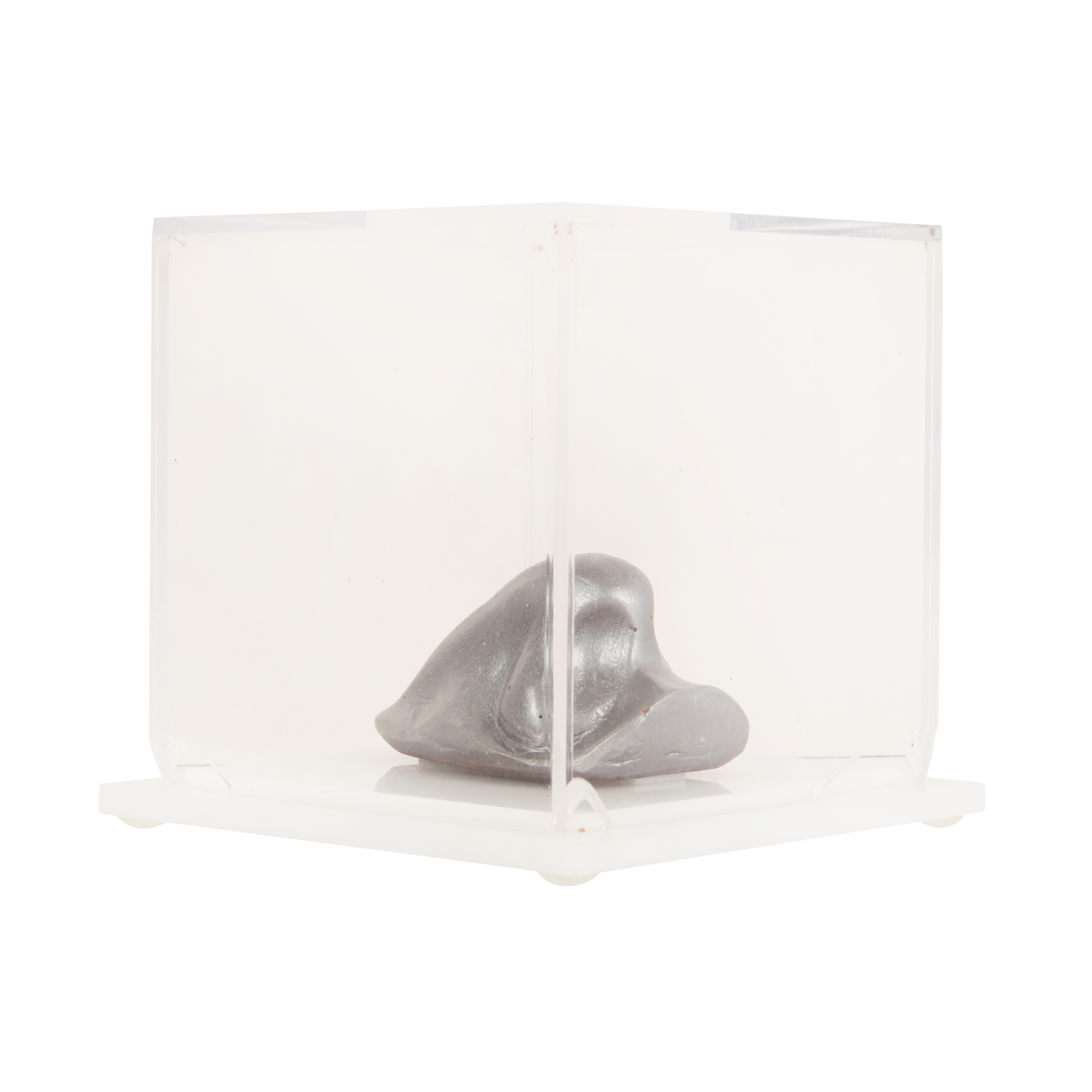 Artwork by Marina Abramović, The Silver Nose, Made of Chocolate And Silver Pigment Sculpture