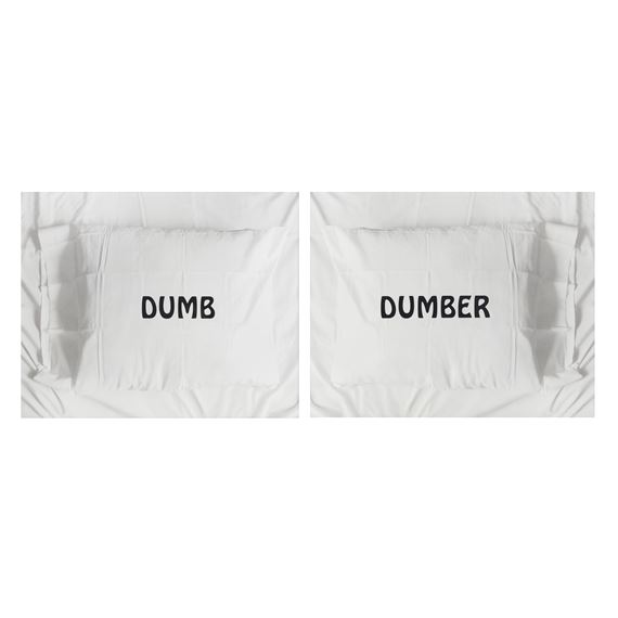 Pillow Talk Prints: Dumb & Dumber - Jonathan Horowitz