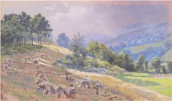 harvest landscape - Martin Snape