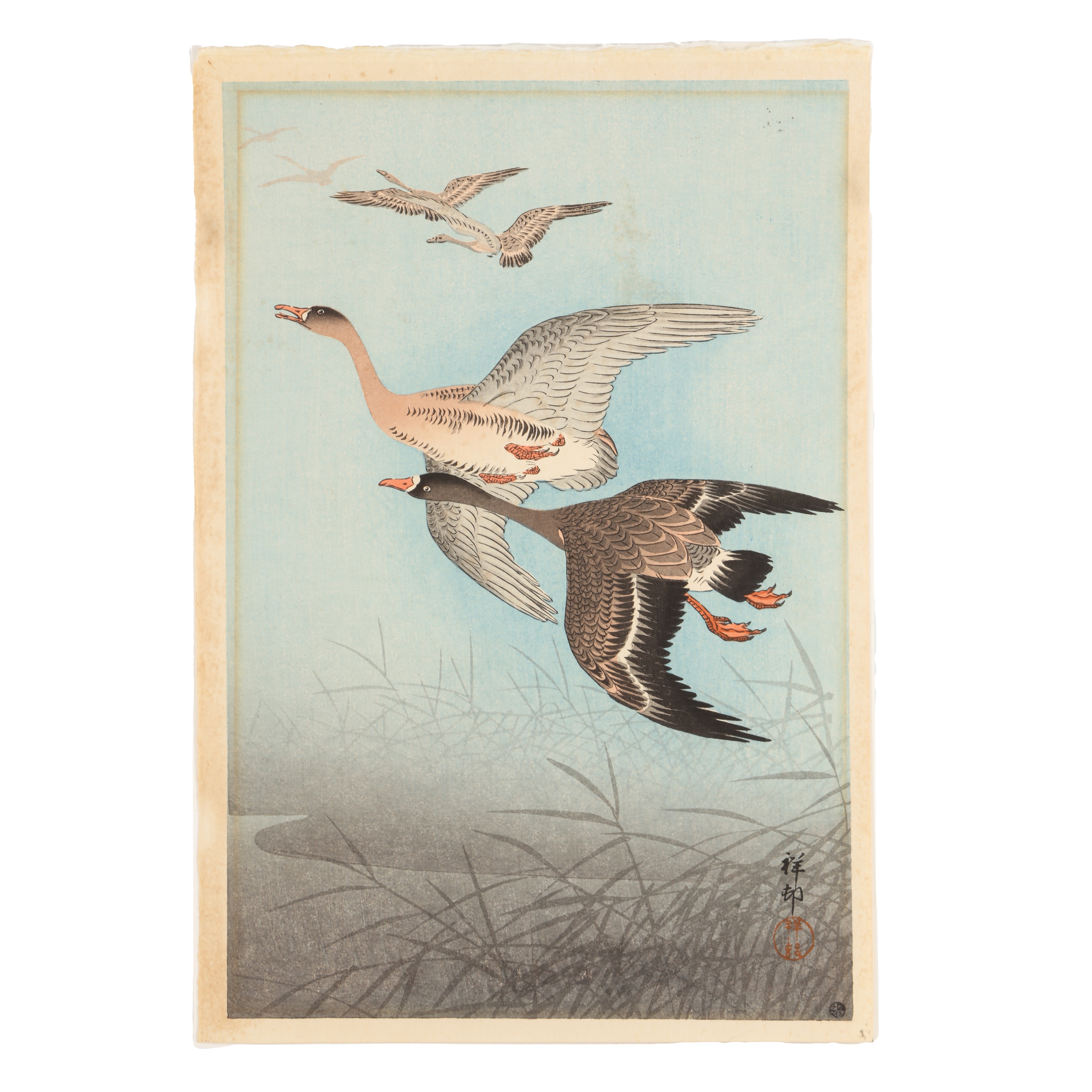Ohara Koson | Flying Geese and Reeds (1918 - 1924) | MutualArt